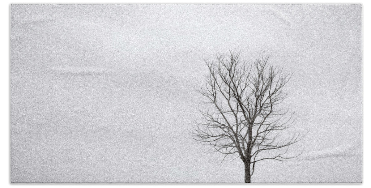 Black And White Beach Towel featuring the photograph Black Tree White Sky by Scott Norris