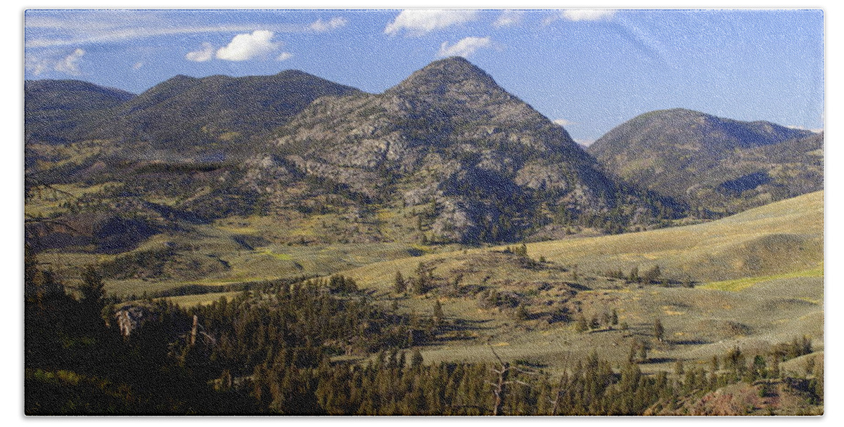 Yellowstone National Park Beach Towel featuring the photograph Blacktail Road Landscape 2 by Marty Koch