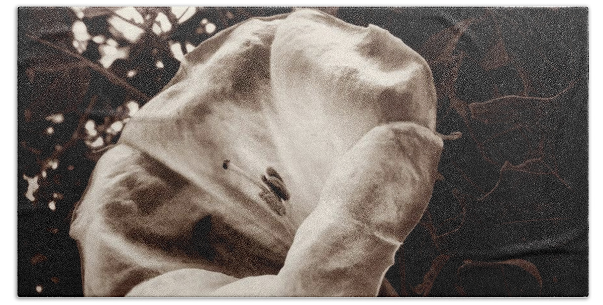 Photography Beach Sheet featuring the photograph Bloom In Sepia by Kathleen Messmer