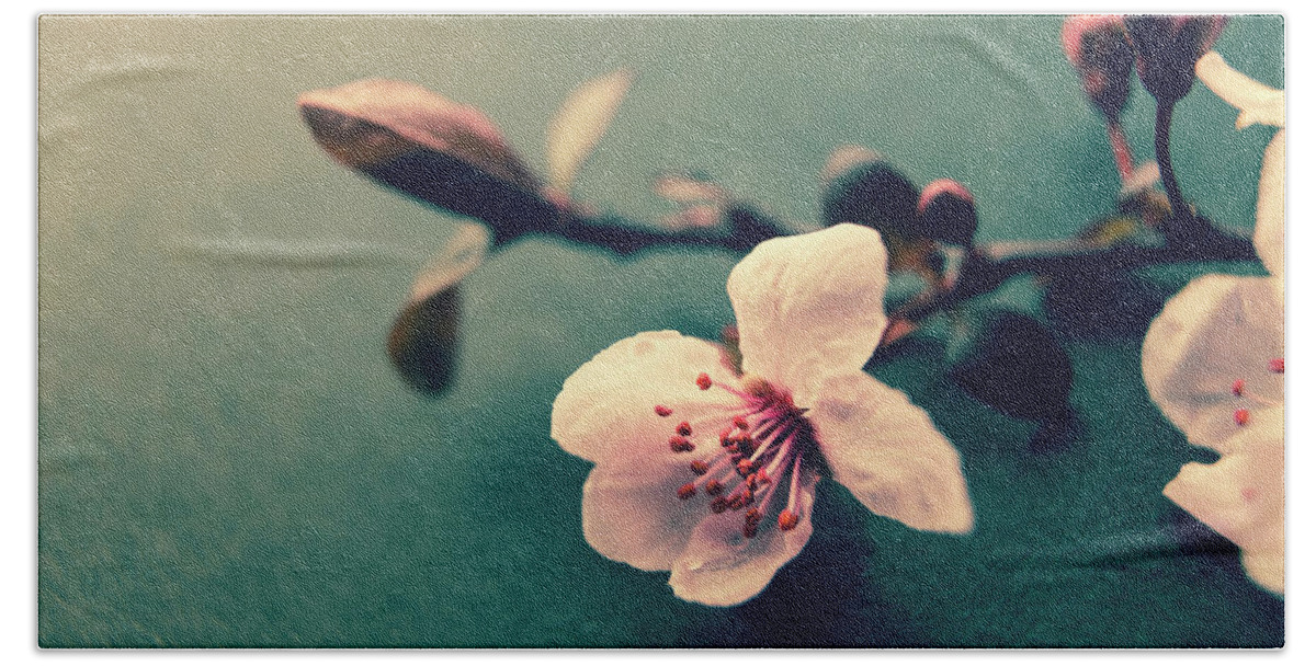 Plum Blossom Beach Towel featuring the photograph Blossom by Caitlyn Grasso