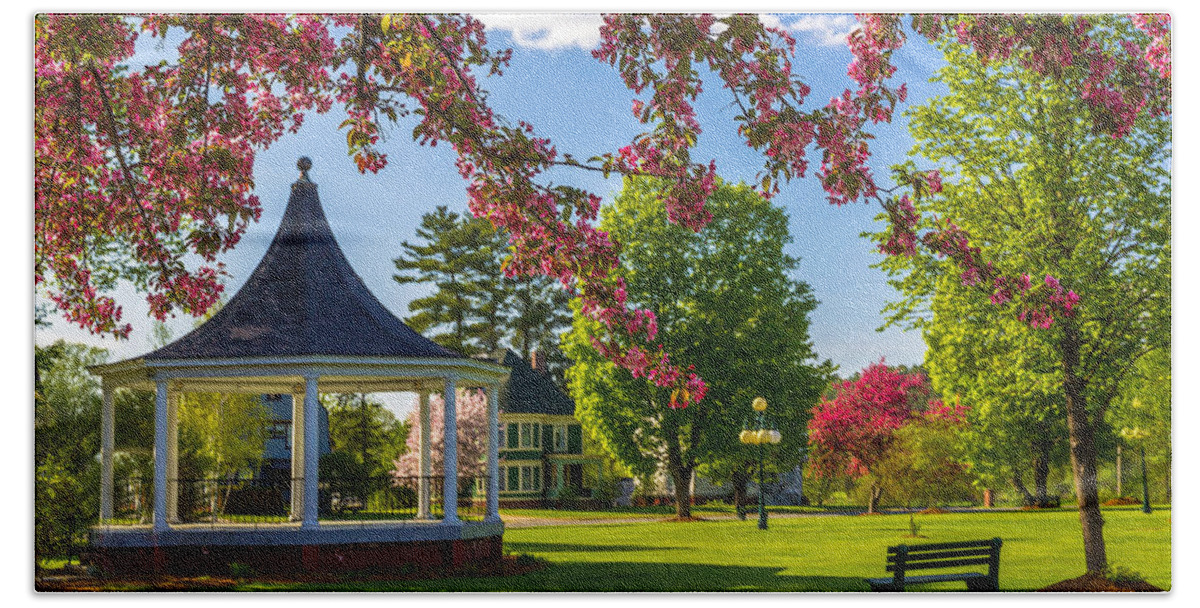 Park Beach Towel featuring the photograph Blossoms and Benches by Tim Kirchoff