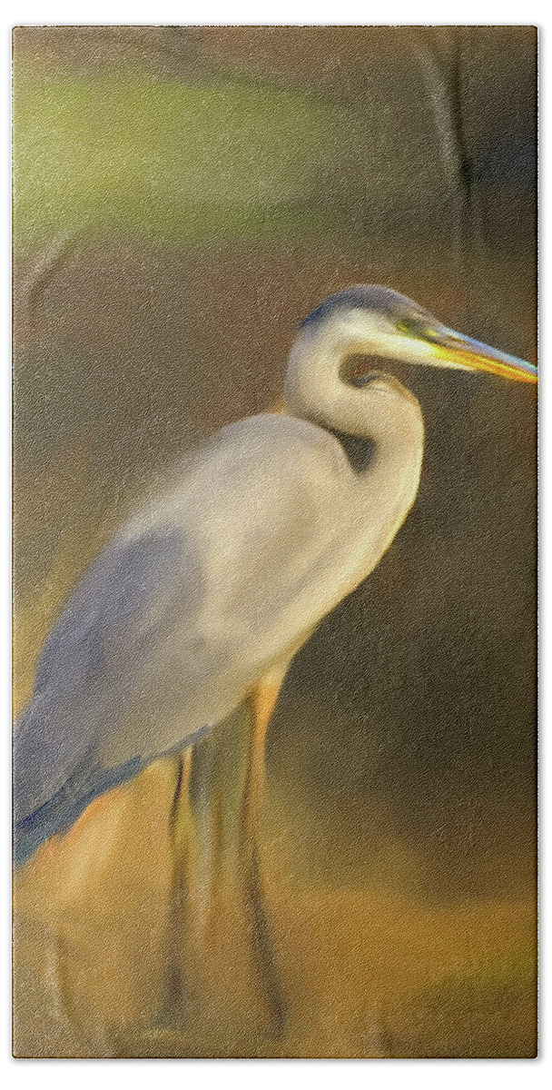 Blue Heron And Sunset Beach Sheet featuring the digital art Blue and Gold by Don Wright