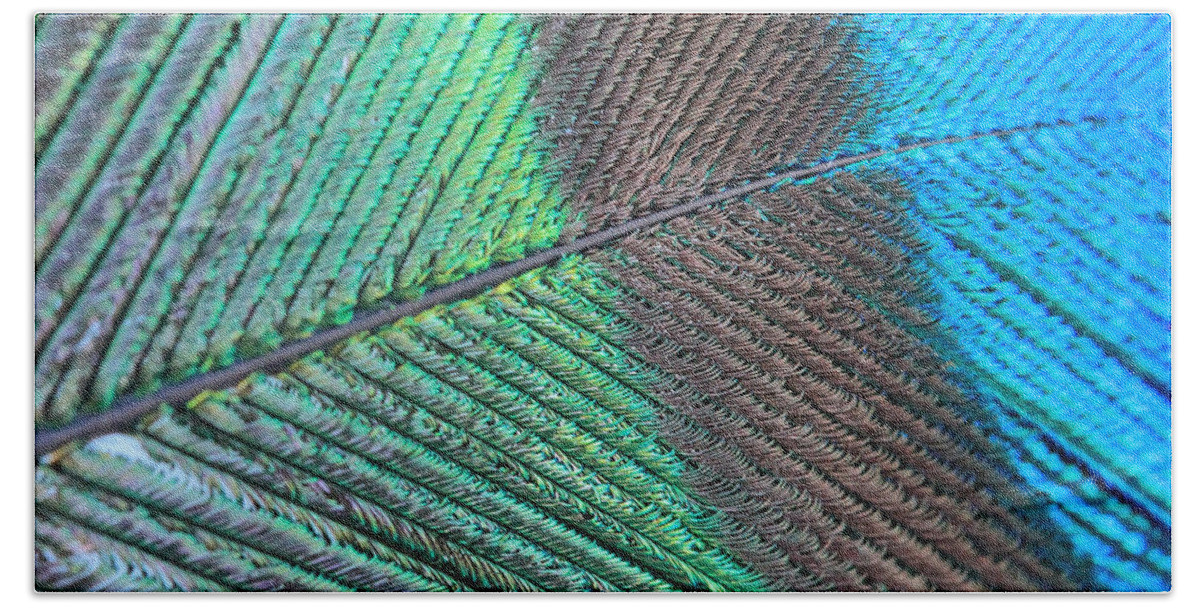 Peacock Beach Towel featuring the photograph Blue And Green Feathers by Angela Murdock