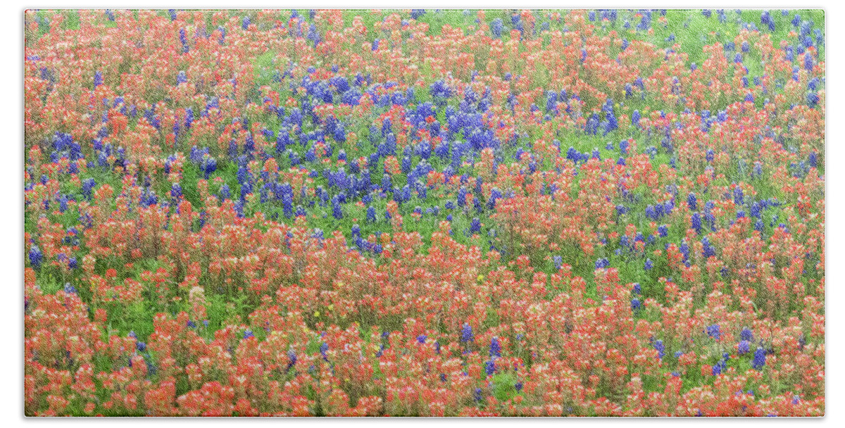 Texas Beach Towel featuring the photograph Blue bonnets and Indian paintbrush-Texas wildflowers by Usha Peddamatham