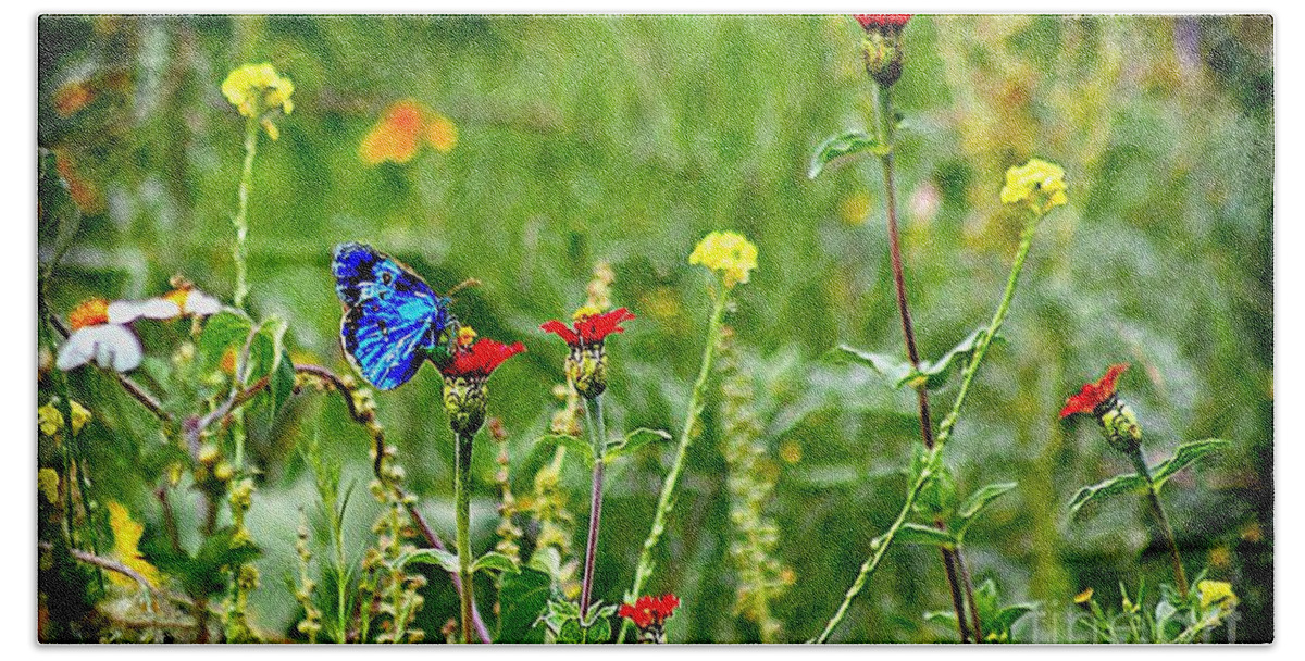 John+kolenberg Beach Sheet featuring the photograph Blue Butterfly In Meadow by John Kolenberg