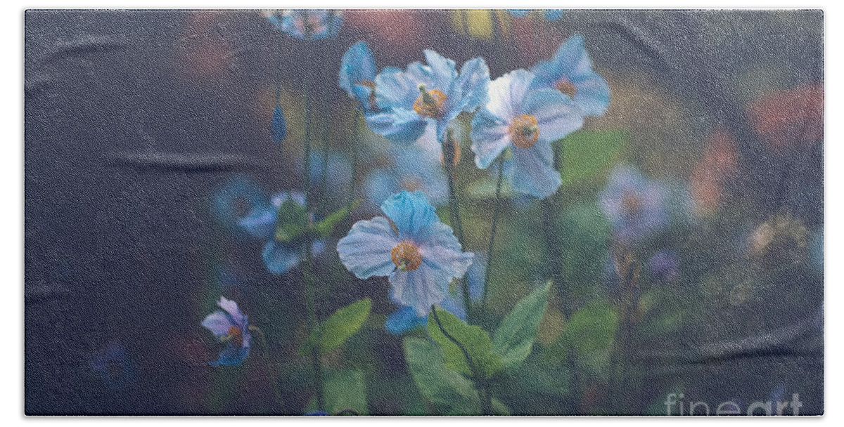 Blue Himalayan Poppies Beach Towel featuring the photograph Blue by Carrie Cole