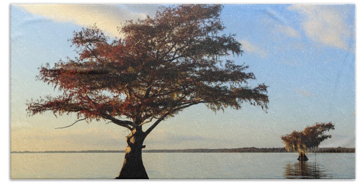 Blue Cypress Lake Beach Towel featuring the photograph Blue Cypress Lake Fall Color by Stefan Mazzola