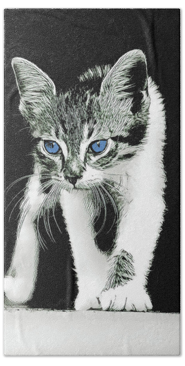 Kitty Beach Towel featuring the digital art Blue Eyed Kitty by David G Paul