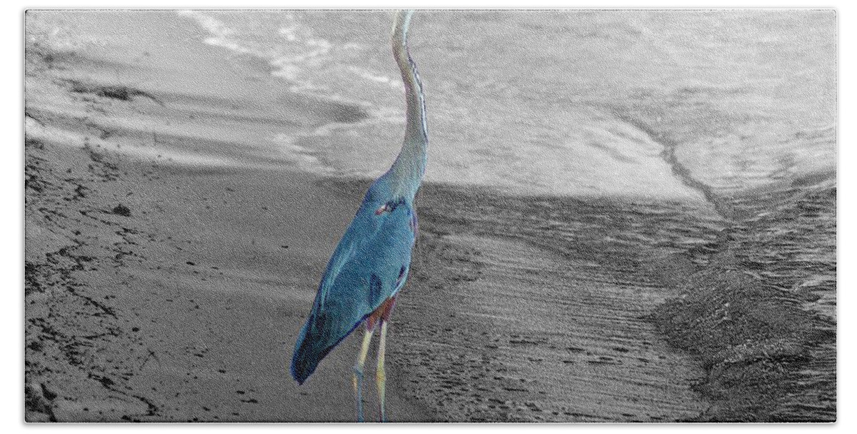 Birds Beach Towel featuring the painting Blue heron On Beach by Michael Thomas