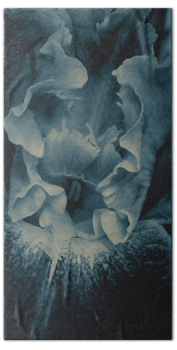 Iris Beach Towel featuring the photograph Blue Iris by Caryl J Bohn