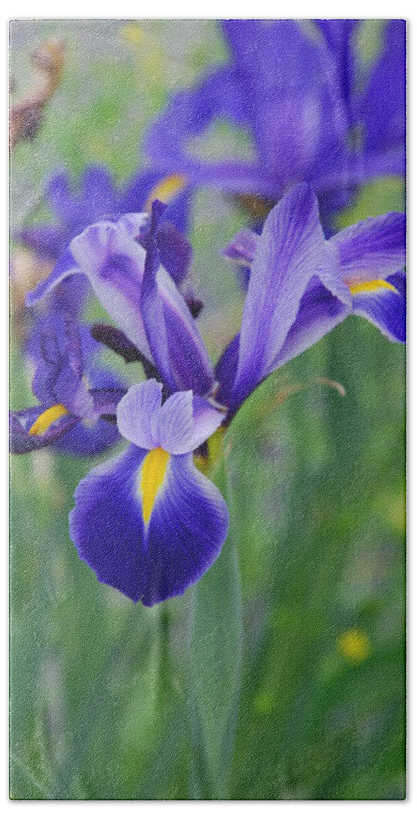 Iris Flower Beach Towel featuring the photograph Blue Iris Flower by Susanne Van Hulst