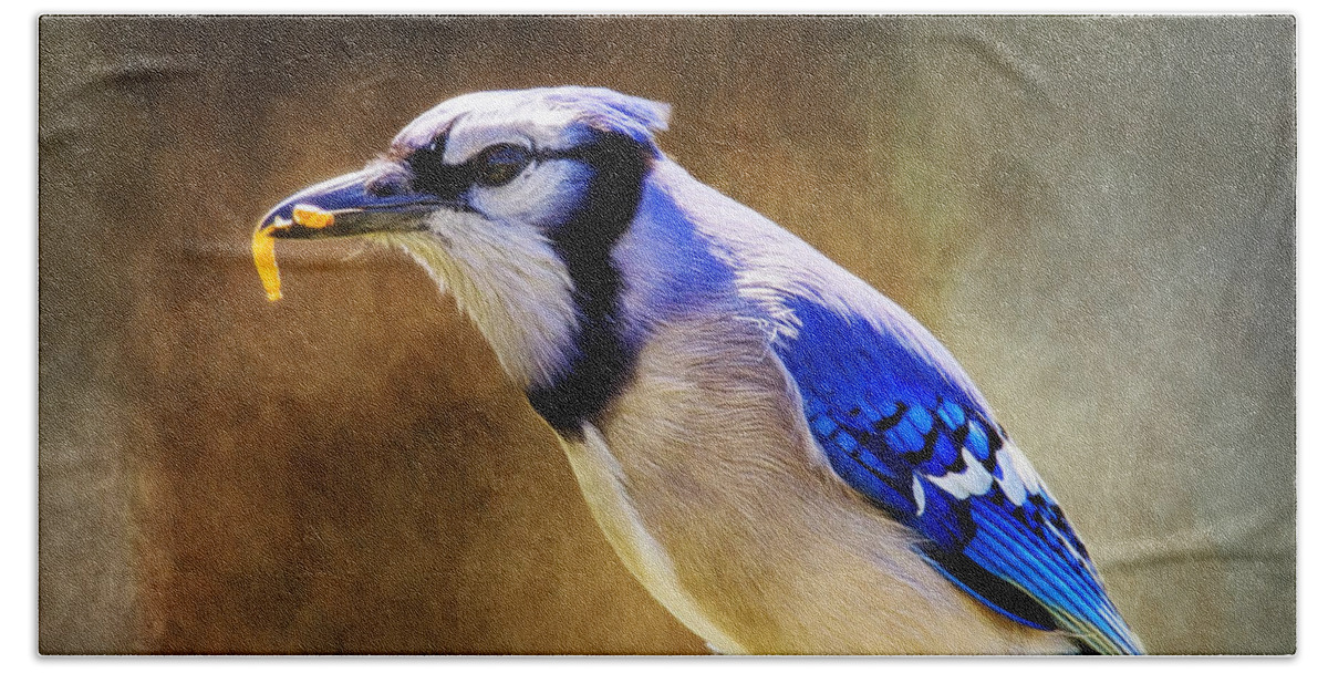 Blue Jay Beach Towel featuring the photograph Blue Jay Snax by Bill and Linda Tiepelman