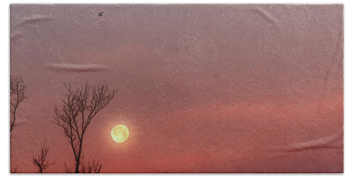 Blue Moon Beach Towel featuring the photograph Blue Pink Moon by Russell Pugh