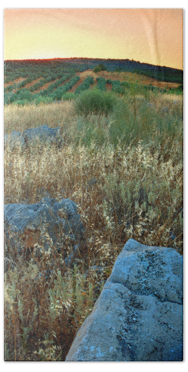 Iznajar Beach Towel featuring the photograph blue stones amongst the olive groves near Iznajar Andalucia Spain by Mal Bray