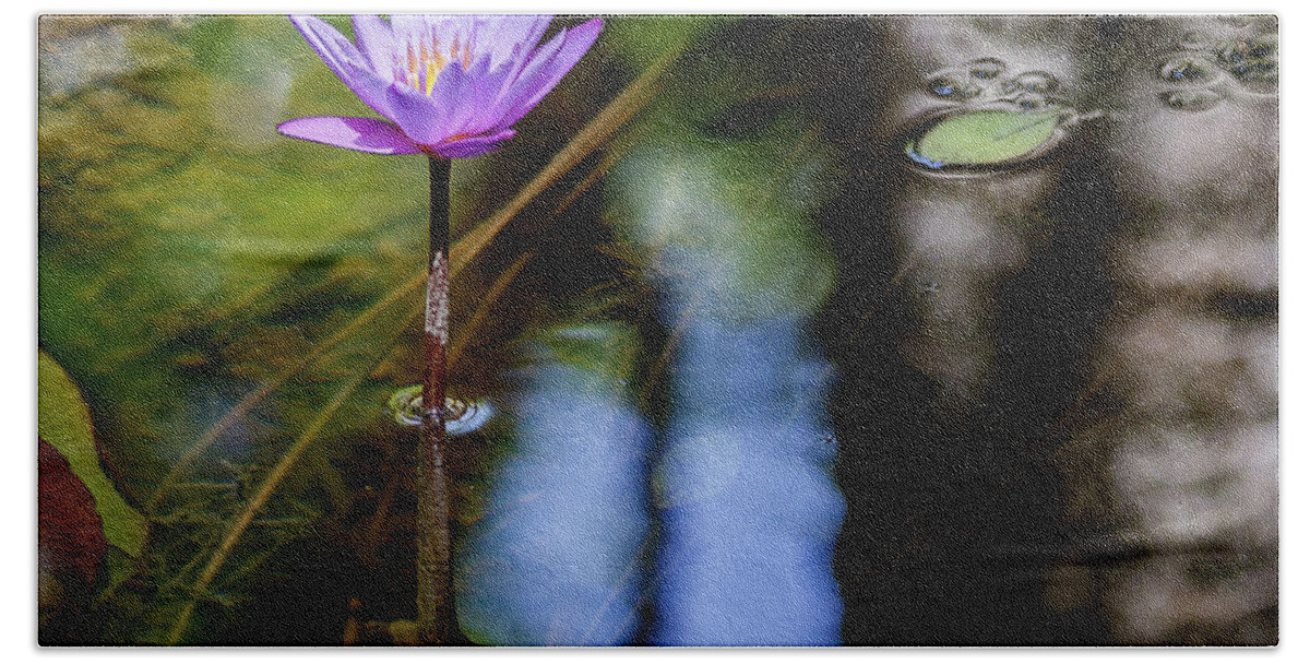 Flower Beach Sheet featuring the photograph Blue Water Lily by Les Greenwood