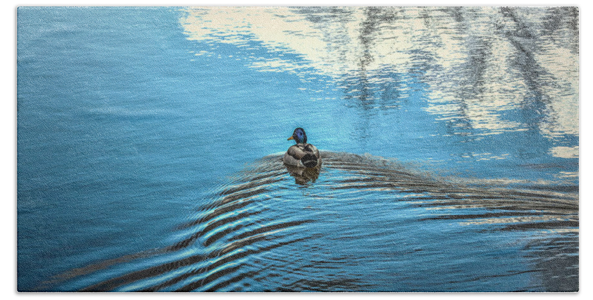 Duck.ducks Beach Sheet featuring the photograph Blue waters #g0 by Leif Sohlman