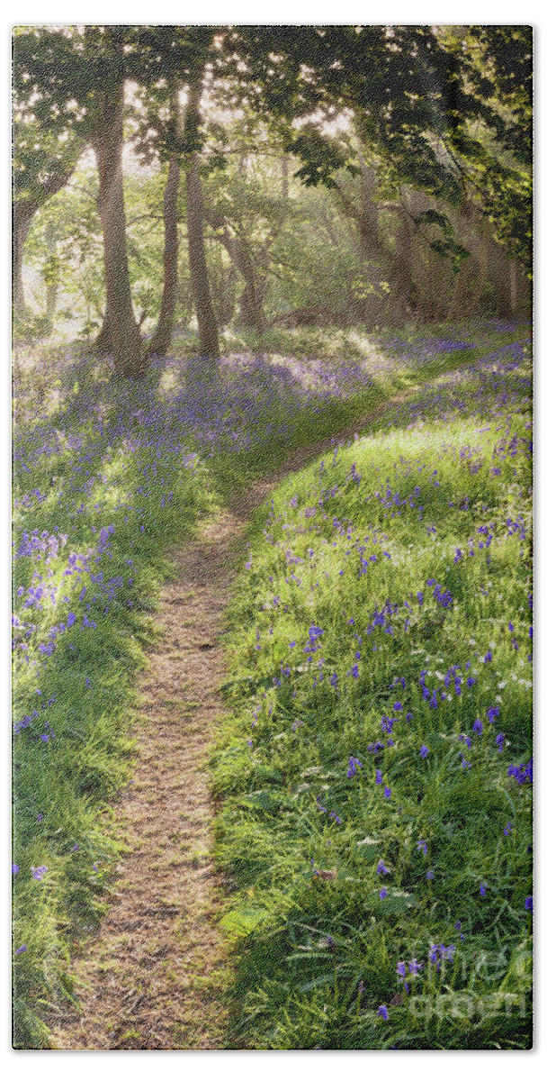 Bluebell Forest Beach Towel featuring the photograph Bluebell woodland path with dreamy sunrise by Simon Bratt