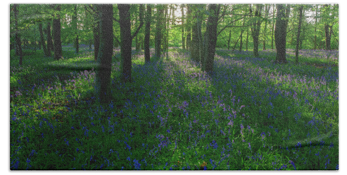 Bluebells Beach Sheet featuring the photograph Bluebells in Oxey Woods by Nick Atkin