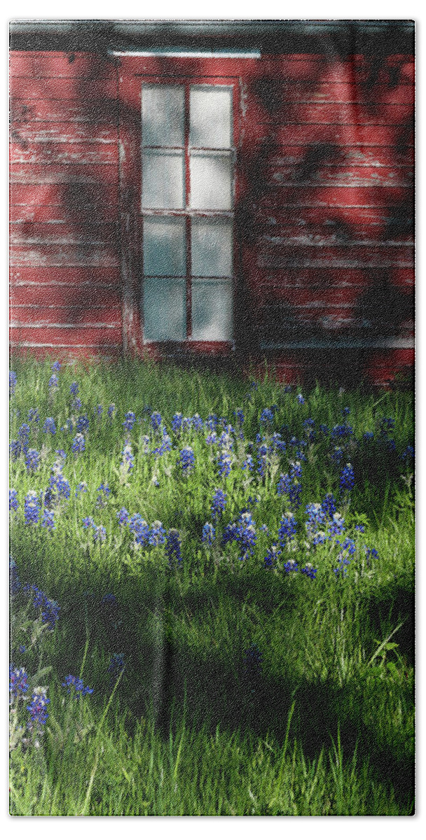 Architecture Beach Sheet featuring the photograph Bluebonnets in the Shade by David and Carol Kelly