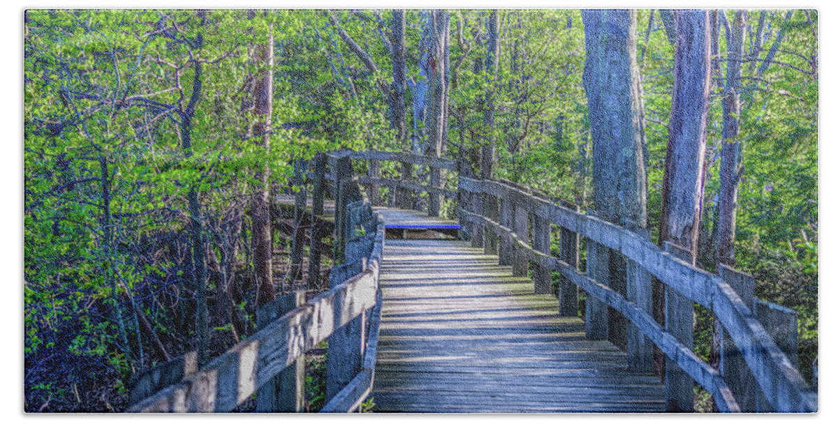 Landscape Beach Towel featuring the photograph Boardwalk Going Into the Woods by Lester Plank