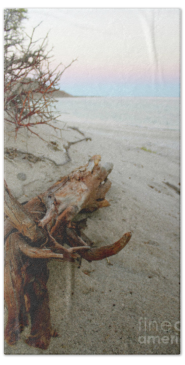 Driftwood Beach Towel featuring the photograph Bonanza Beach Driftwood by Becqi Sherman