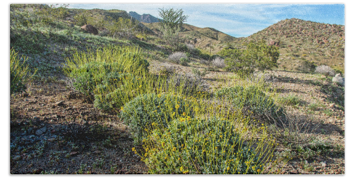 Borrego California State Park Beach Towel featuring the photograph Borrego Mountain Flora by Daniel Hebard