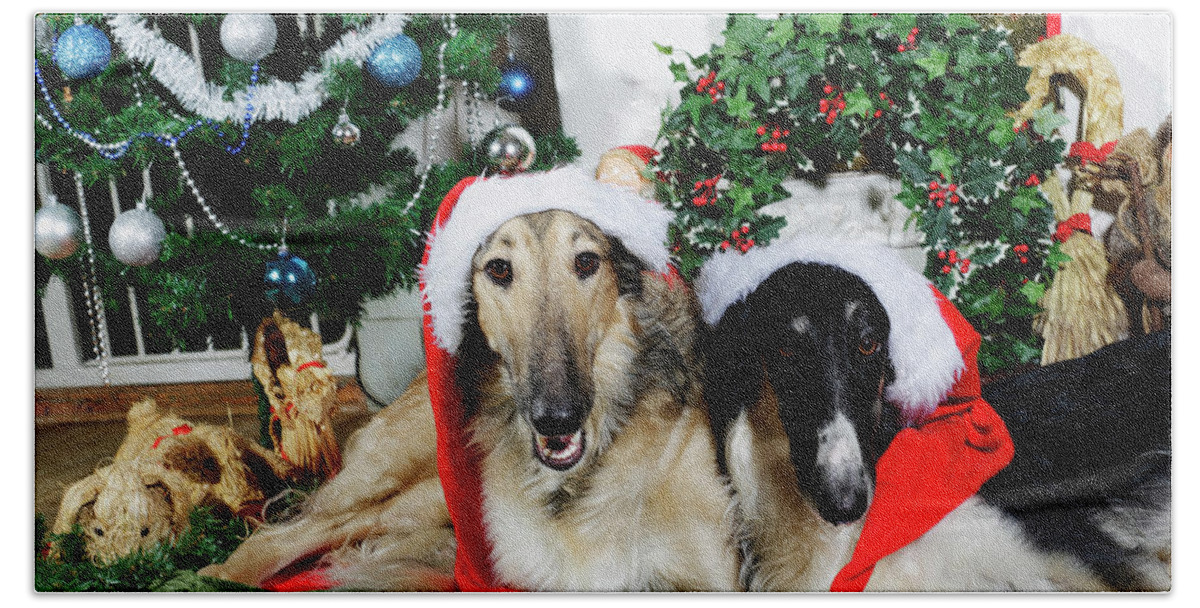 Dogs Beach Towel featuring the photograph Borzoi puppies wishing a merry christmas by Christian Lagereek