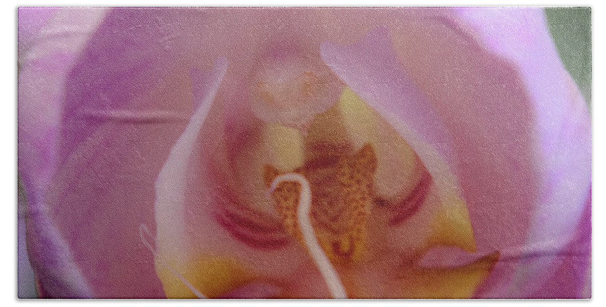 Cleveland Botanical Gardens Beach Towel featuring the photograph Boudoir Orchid by Stewart Helberg