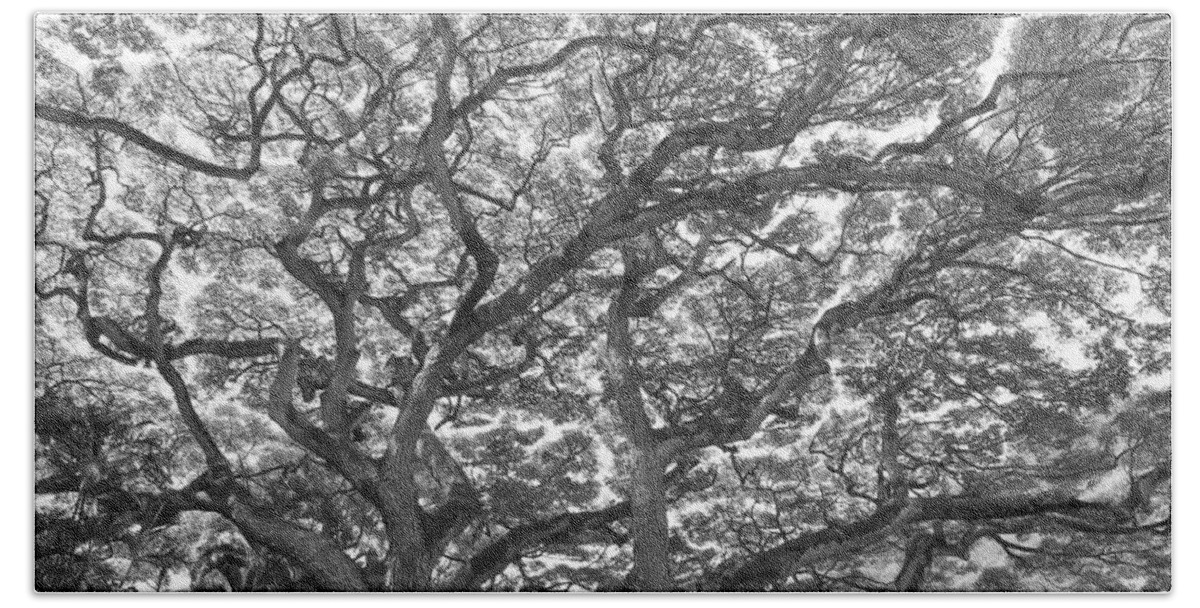 Branches Beach Sheet featuring the photograph Branches by Jeff Cook