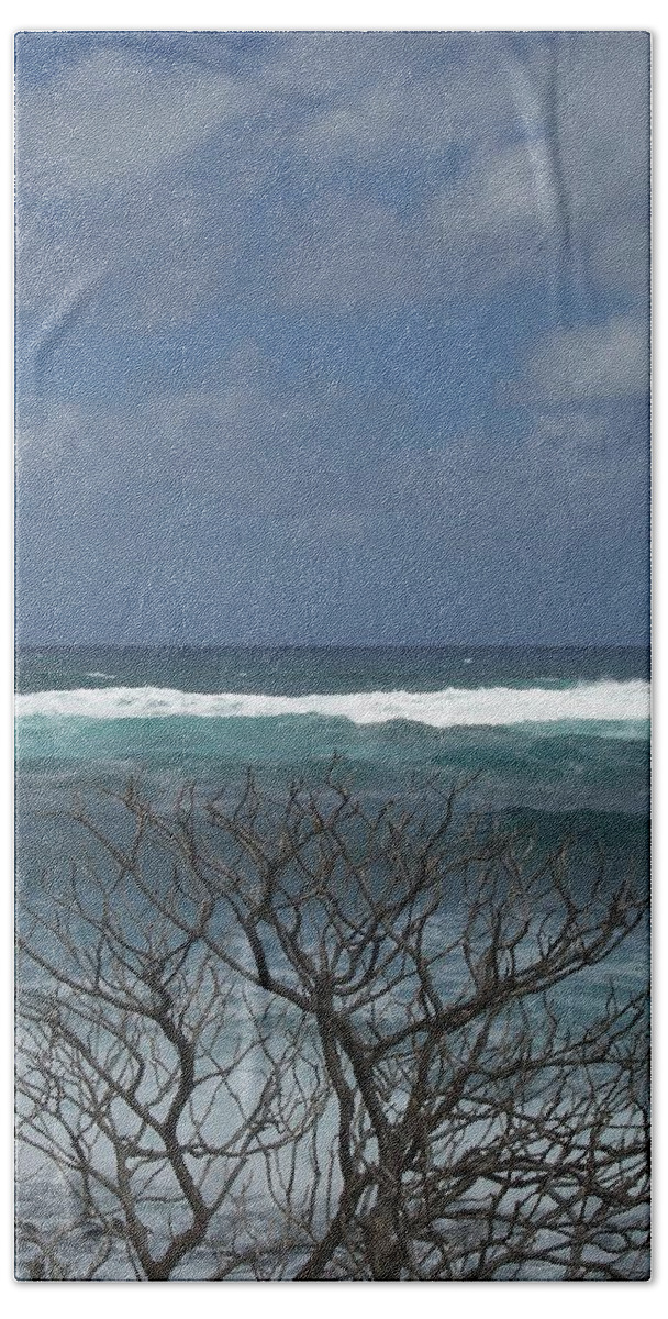 Tree Beach Sheet featuring the photograph Branches Waves and Sky by Michelle Miron-Rebbe