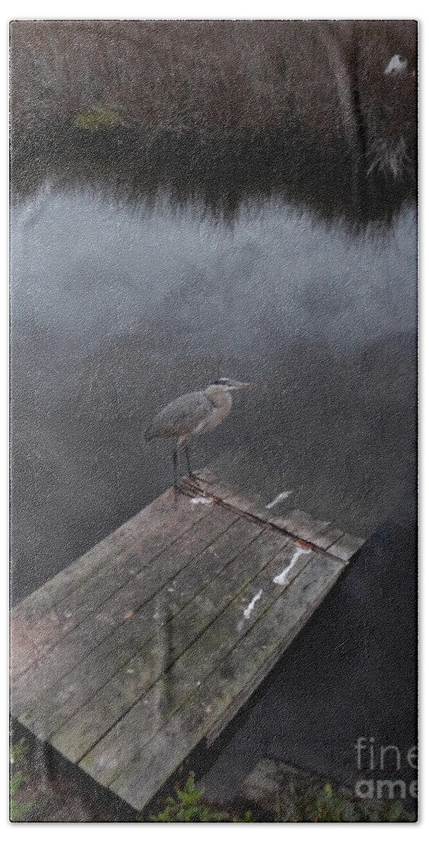  At Twilight A Heron Rests On The Float An Alligator Usually Occupies.clouds Reflect In The Water Of A Baoyu Near The Ocean On Florida's Gulf Coast. Beach Towel featuring the photograph Brave Heron by Priscilla Batzell Expressionist Art Studio Gallery