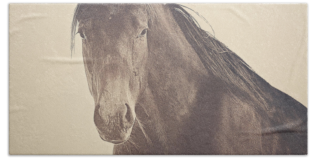 Horse Beach Towel featuring the photograph Brazen and Bold by Amanda Smith