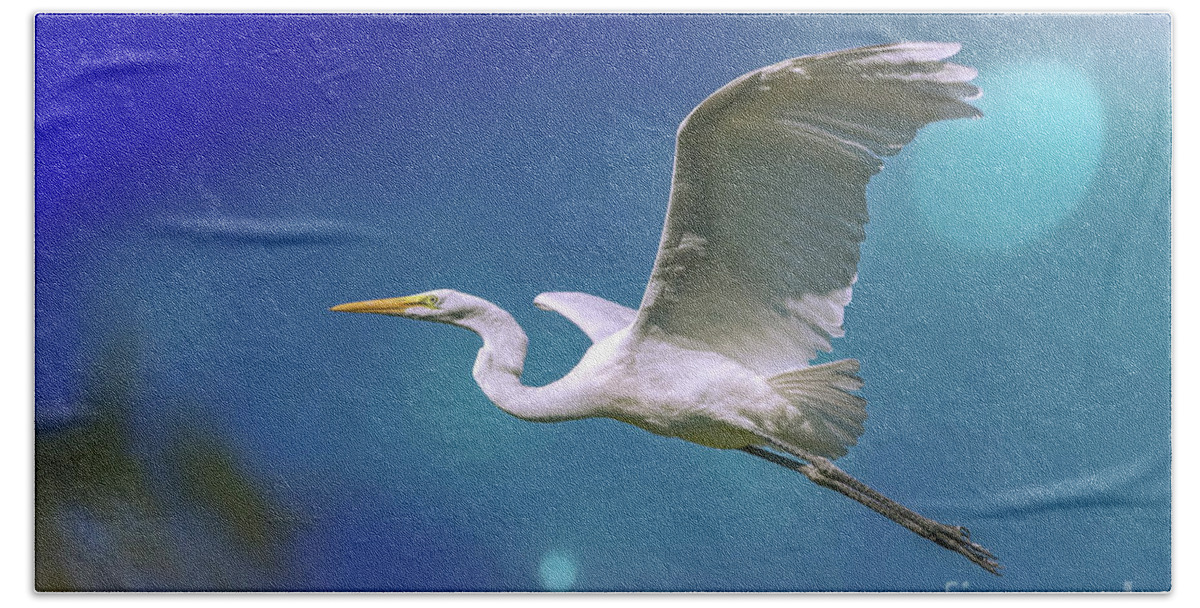 Egrets Beach Towel featuring the photograph Breakin Dawn Flyer-The Great Egret by DB Hayes