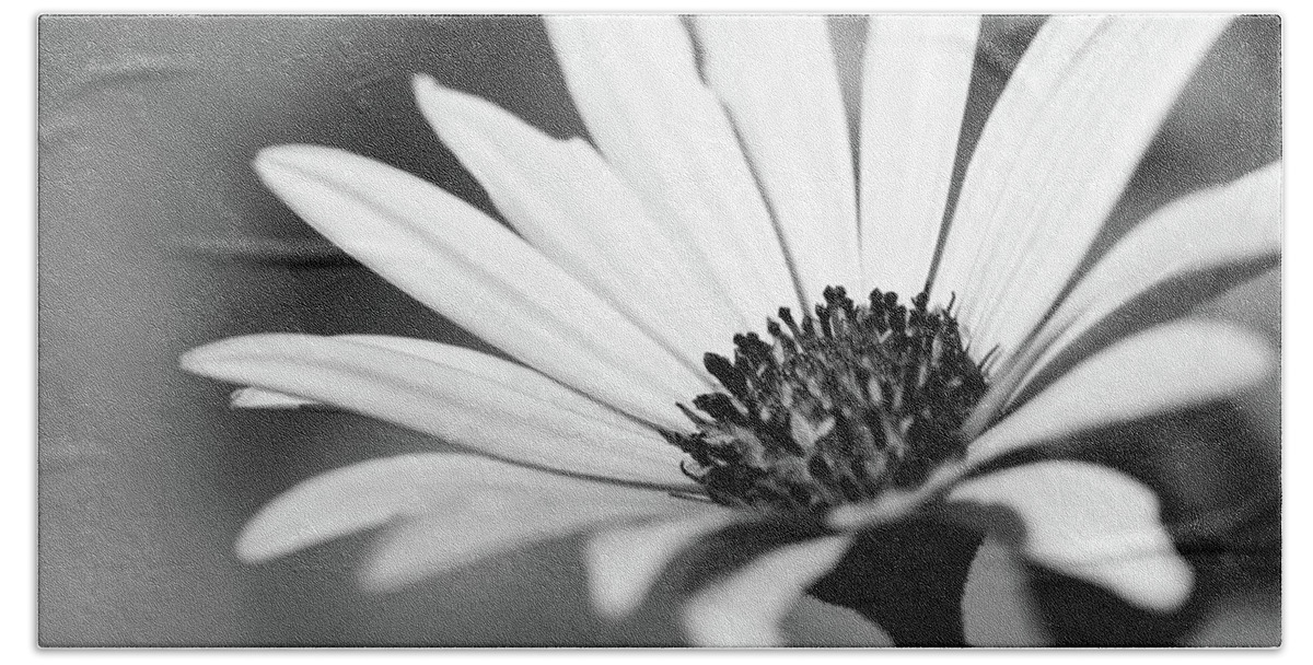 Black And White Beach Towel featuring the photograph Bright Petals by Mary Anne Delgado