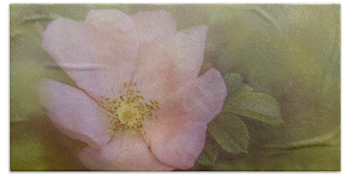 Rose Beach Towel featuring the photograph Brighter Shades of Morning by Elvira Pinkhas