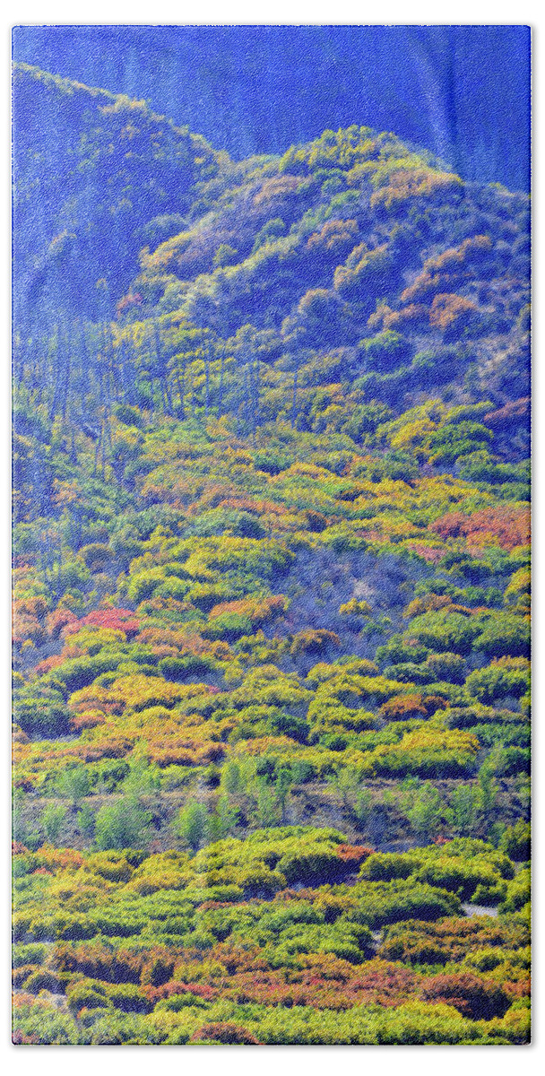 Colorado Beach Towel featuring the photograph Brilliant Fall Colors of Glenwood Springs by Ray Mathis