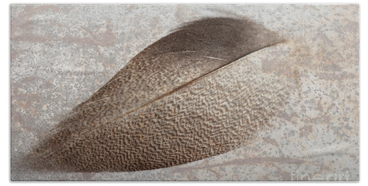 Bronze Mallard Feather Beach Towel featuring the photograph Bronze Mallard Feather Textured 1 by Steve Purnell
