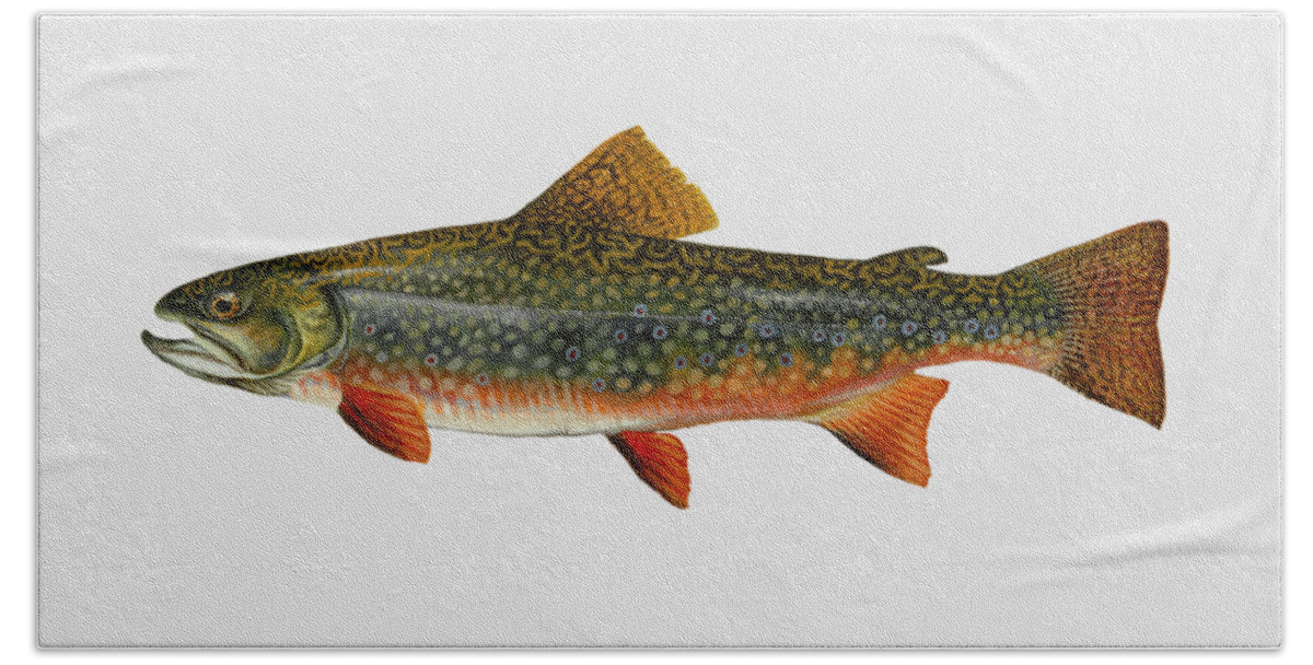 Brook Trout Beach Towel featuring the mixed media Brook Trout by Movie Poster Prints