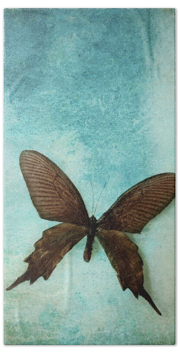 Atrophaneura Aristolochiae Kotzebuea Beach Sheet featuring the photograph Brown Butterfly over Blue Textured Background by Stephanie Frey