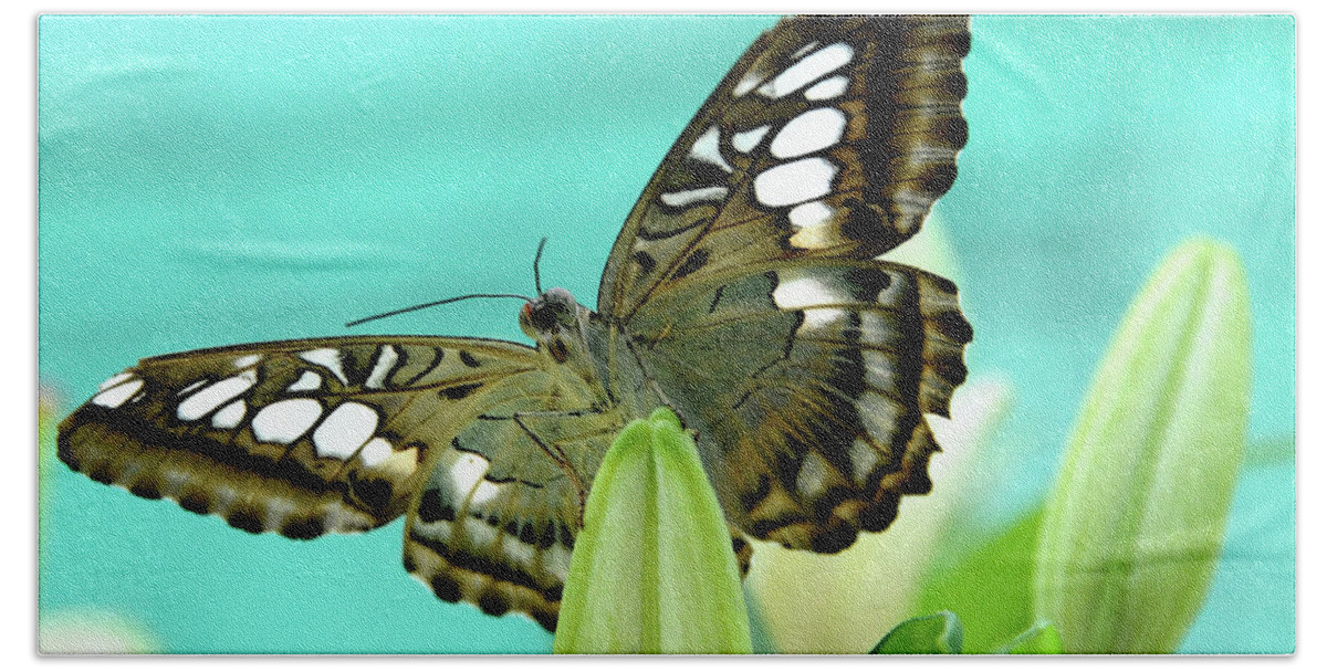Jenny Rainbow Fine Art Photography Beach Towel featuring the photograph Brown Clipper Butterfly on Lily by Jenny Rainbow