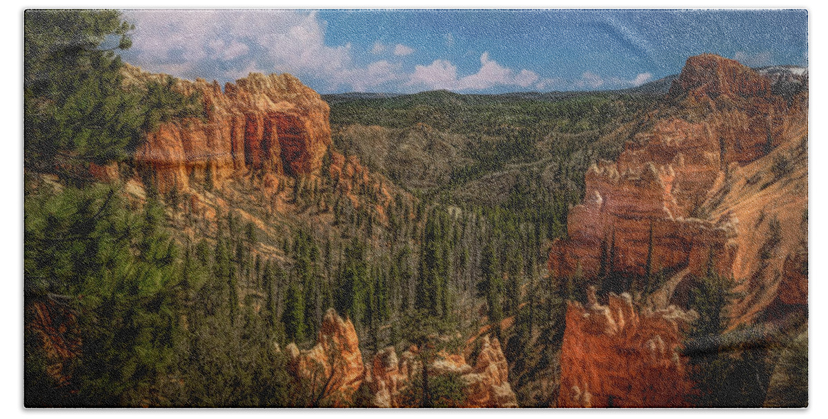 Bryce Canyon Beach Towel featuring the photograph Bryce Canyon From the Top by G Lamar Yancy