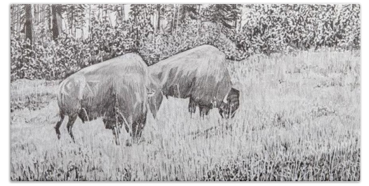 Pen And Ink Beach Towel featuring the drawing Buffalo by Betsy Carlson Cross