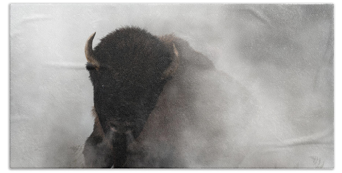Buffalo Emerging From The Fog Beach Towel featuring the digital art Buffalo Emerging From The Fog by Daniel Eskridge