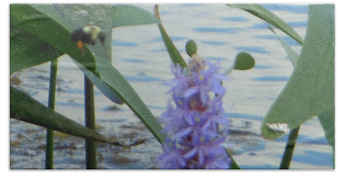Bumblebee Beach Sheet featuring the photograph Bumblebee Pickerelweed Moth by Rockin Docks Deluxephotos