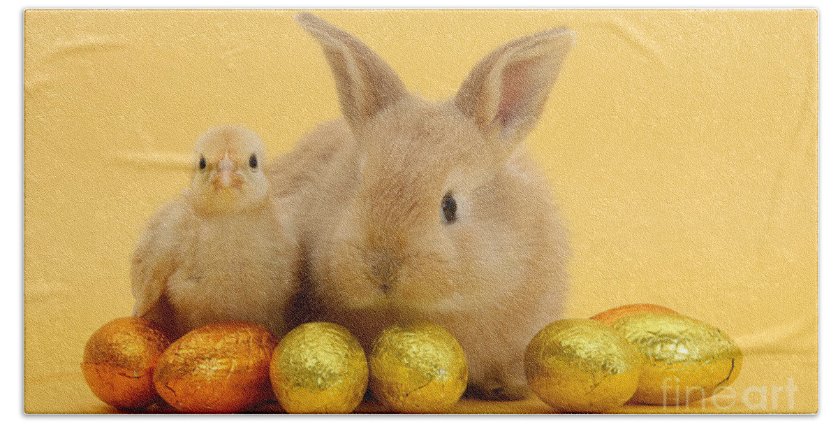 Sandy Beach Towel featuring the photograph Bunny and Chick at Easter by Warren Photographic