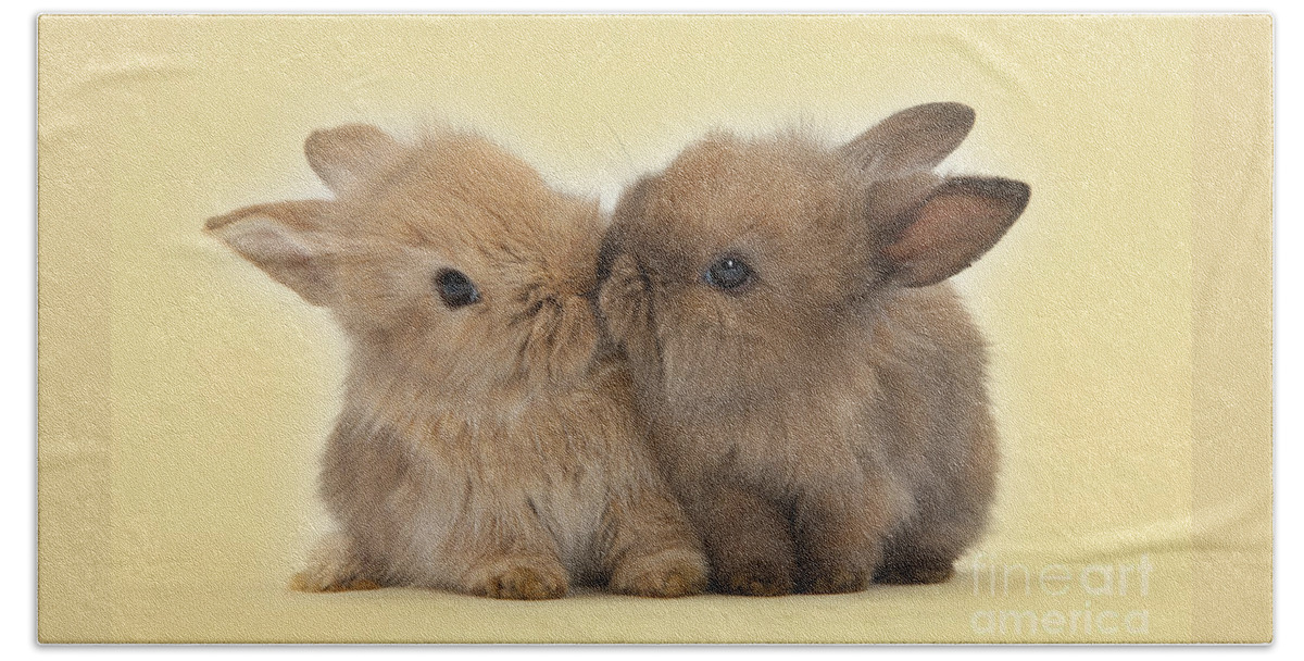 Two Beach Towel featuring the photograph Bunny Kisses by Warren Photographic