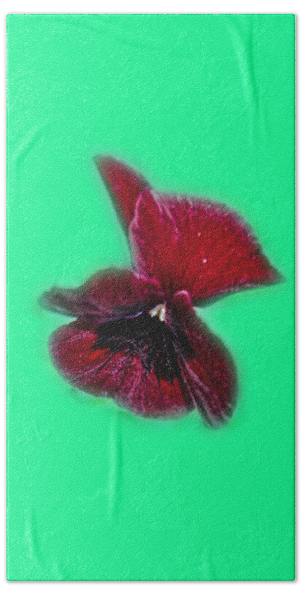 Flower Beach Towel featuring the photograph Burgundy Pansy Tee-shirt by Donna Brown