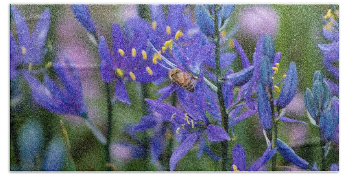 Bee Beach Towel featuring the photograph Busy Bee by Brian Eberly