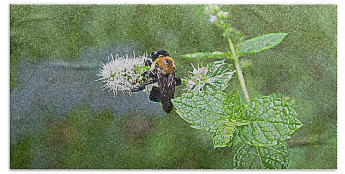 Photography Beach Towel featuring the photograph Busy Bee by Nancy Kane Chapman
