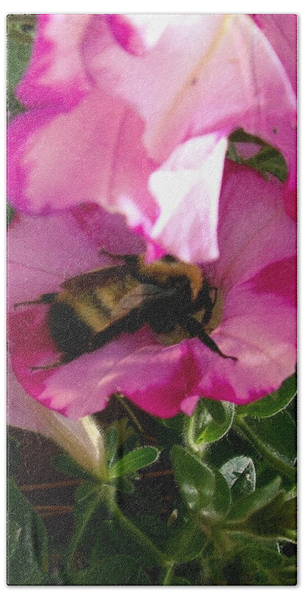 Honey Bee Beach Towel featuring the photograph Busy Bumble Bee by Sharon Duguay